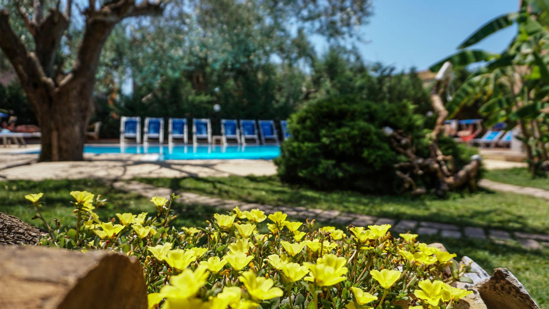 Giardino con fiori gialli, piscina e lettini blu sullo sfondo.