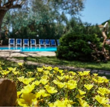 Giardino con fiori gialli vicino a una piscina e lettini blu.