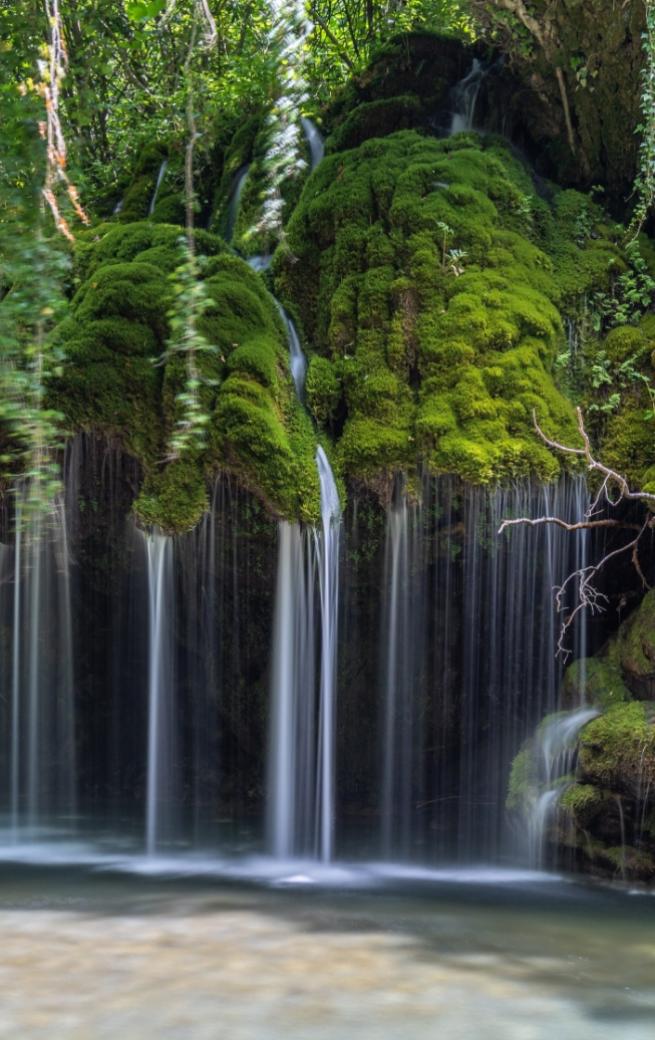 Cascata con muschio verde e acqua che scorre dolcemente in natura.