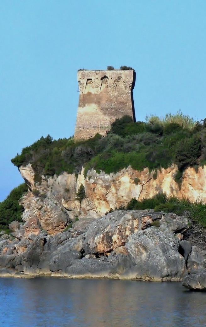 Torre antica su scogliera, circondata da vegetazione, si affaccia sul mare.